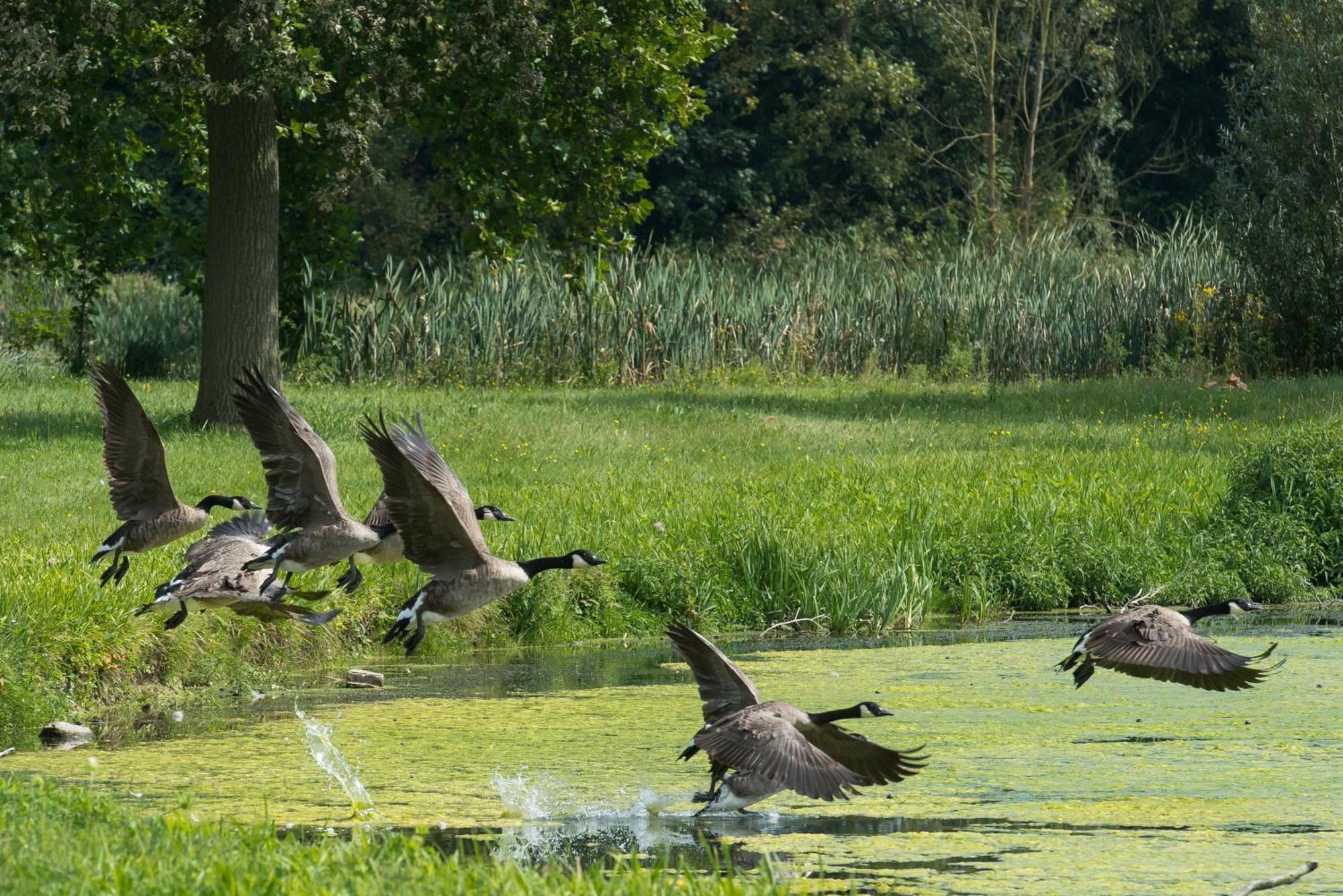 B&B Park7 Wavre - Leuven Huldenberg Екстер'єр фото